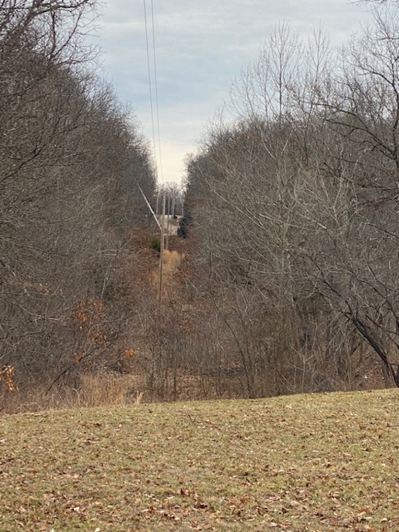 A cleared 30-ft right of way